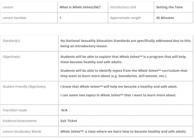 What is Whole Selves - Lesson Plan